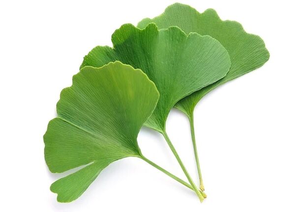 Gluconol contient du Ginkgo biloba